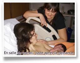 Cliquez pour agrandir l'image Cliquez pour agrandir l'image